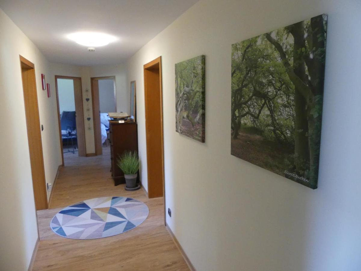 Ferienwohnung Suenteltraum Hamelin Eksteriør billede